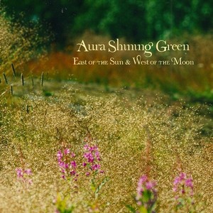 Cover AURA SHINING GREEN