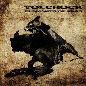 Cover TOLCHOCK