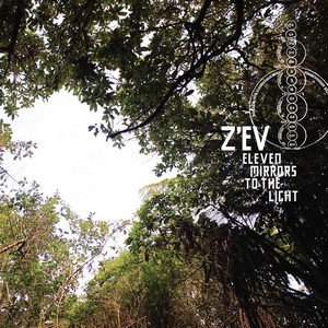 Cover Z'EV