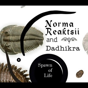 Cover NORMA REAKTSII and DADHIKRA