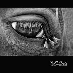 Cover NOXVOX