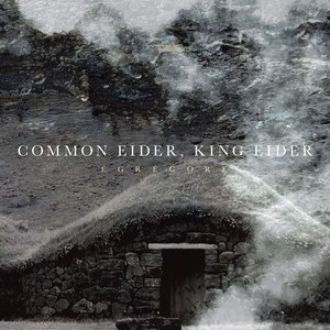 Cover COMMON EIDER, KING EIDER