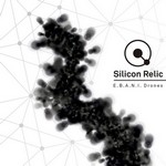 SILICON RELIC