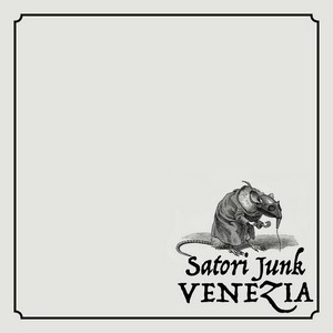 Cover SATORI JUNK