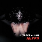 D/FLECT vs ISH