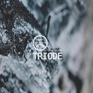 Cover TRIODE