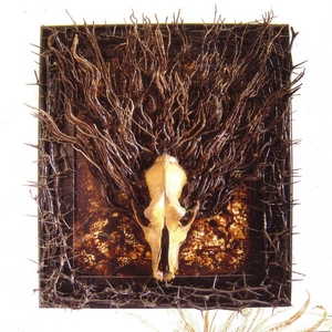 Cover EQUIMANTHORN
