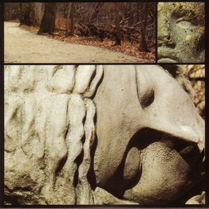 Cover WILT/VV.AA.