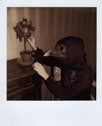 AT THE FUNERAL OF MY VIOLET RABBIT