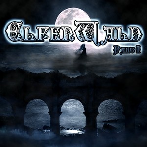 Cover ELFENWALD