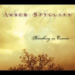 AMBER SPYGLASS