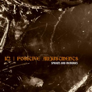 Cover K2/POSITIVE ADJUSTMENTS