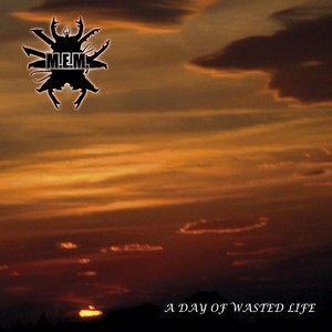 Cover M.E.M.