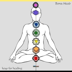 Cover BONA HEAD