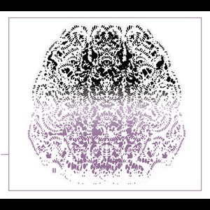 Cover MOLLUSK