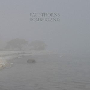 Cover PALE THORNS
