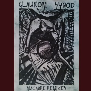 Cover GLAUKOM SYNOD