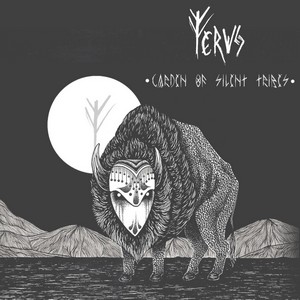 Cover FERVS