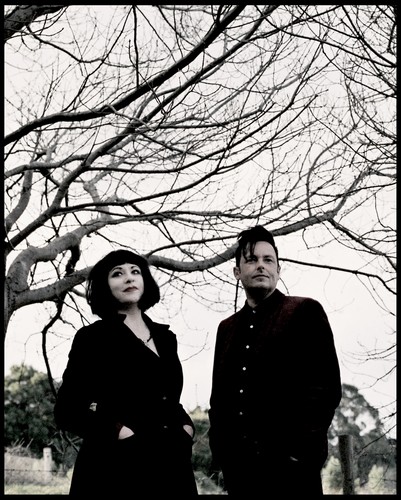 FRIENDS OF ALICE IVY