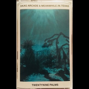 Cover SKAG ARCADE & MEANWHILE.IN.TEXAS