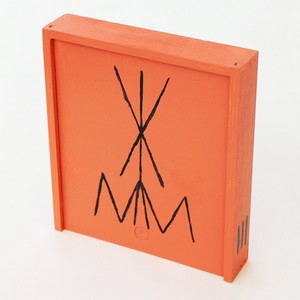 Cover VLIMMER