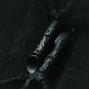 Cover TREPANERINGSRITUALEN