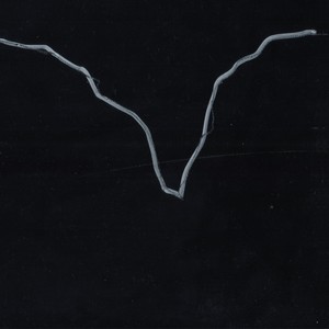 Cover MASTICE