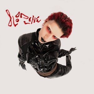 Cover ELZ AND THE CULT